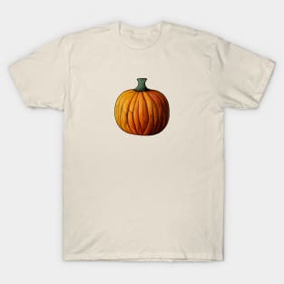 Pumpkin illustration T-Shirt